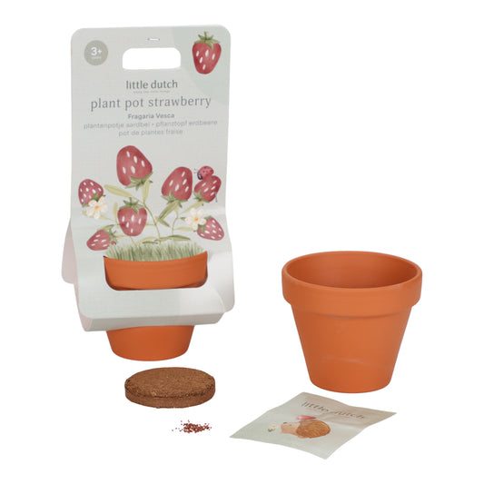 Kit de plantation fraises - Little Dutch