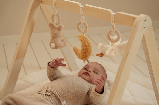 Arche d'éveil en bois Newborn - Little Dutch