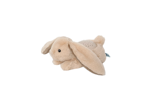 Dream buddies lapin - projecteur
