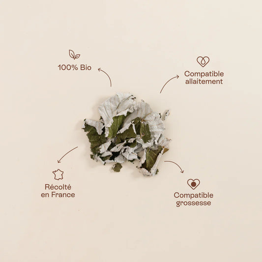 Infusion framboisier - Jolly Mama