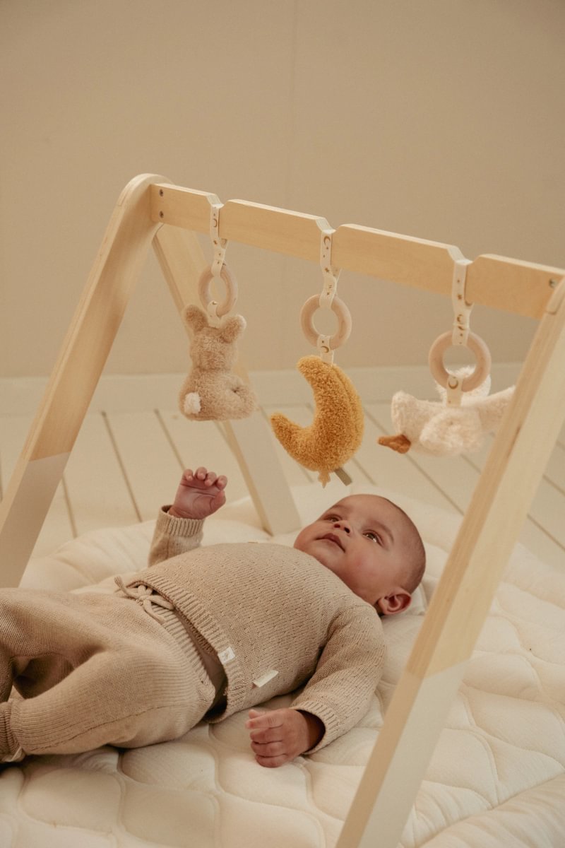 Arche d'éveil en bois Newborn - Little Dutch