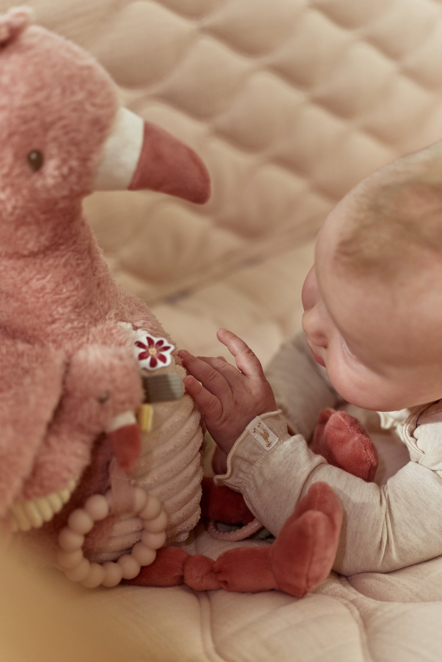 Peluche d'activité flamant rose - safari