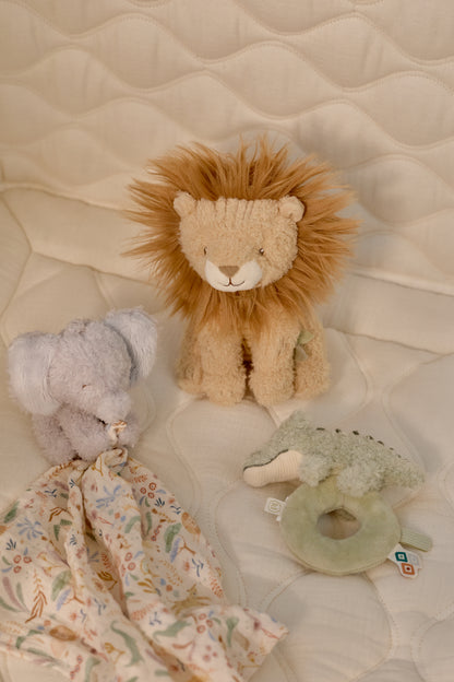 Coffret cadeau safari