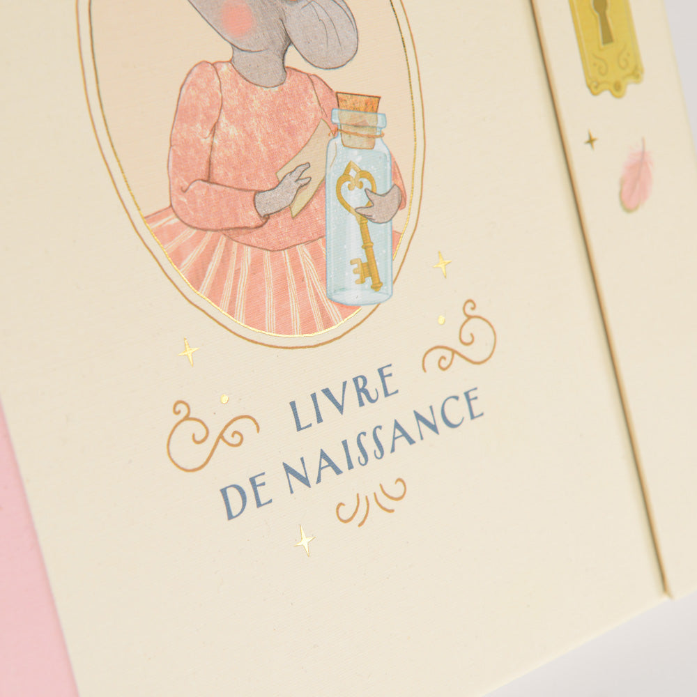 Livre de naissance - école de danse