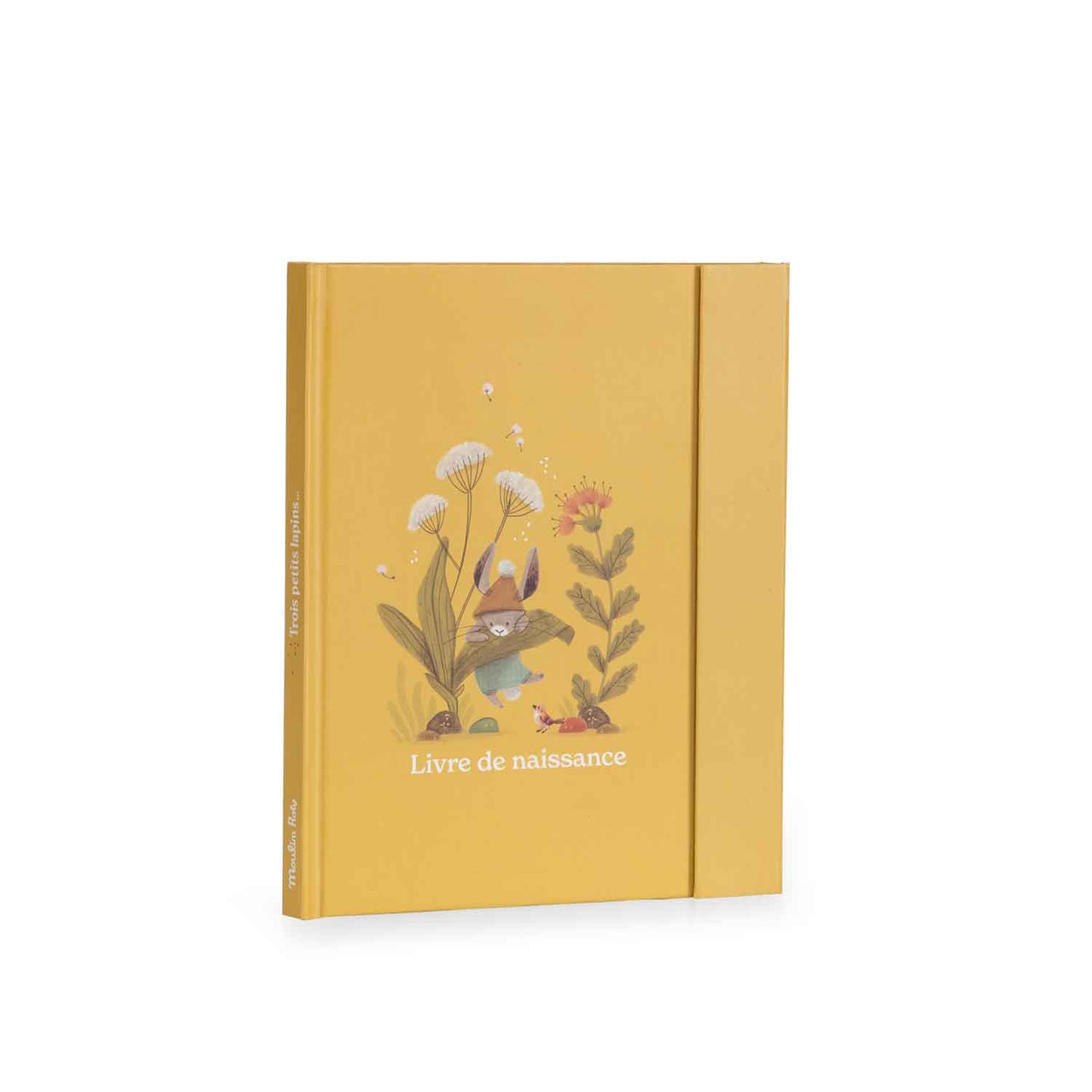 Livre de naissance - 3 petits lapins