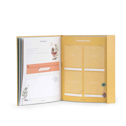 Livre de naissance - 3 petits lapins