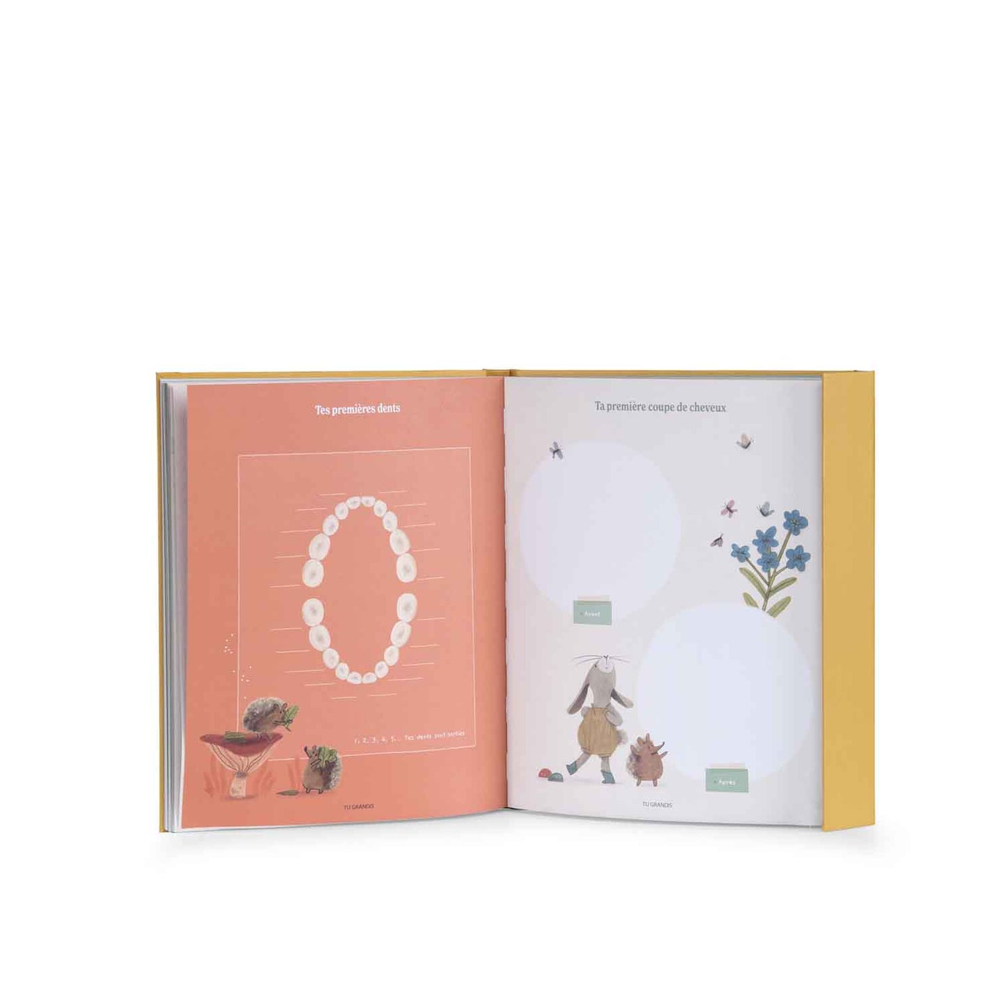 Livre de naissance - 3 petits lapins