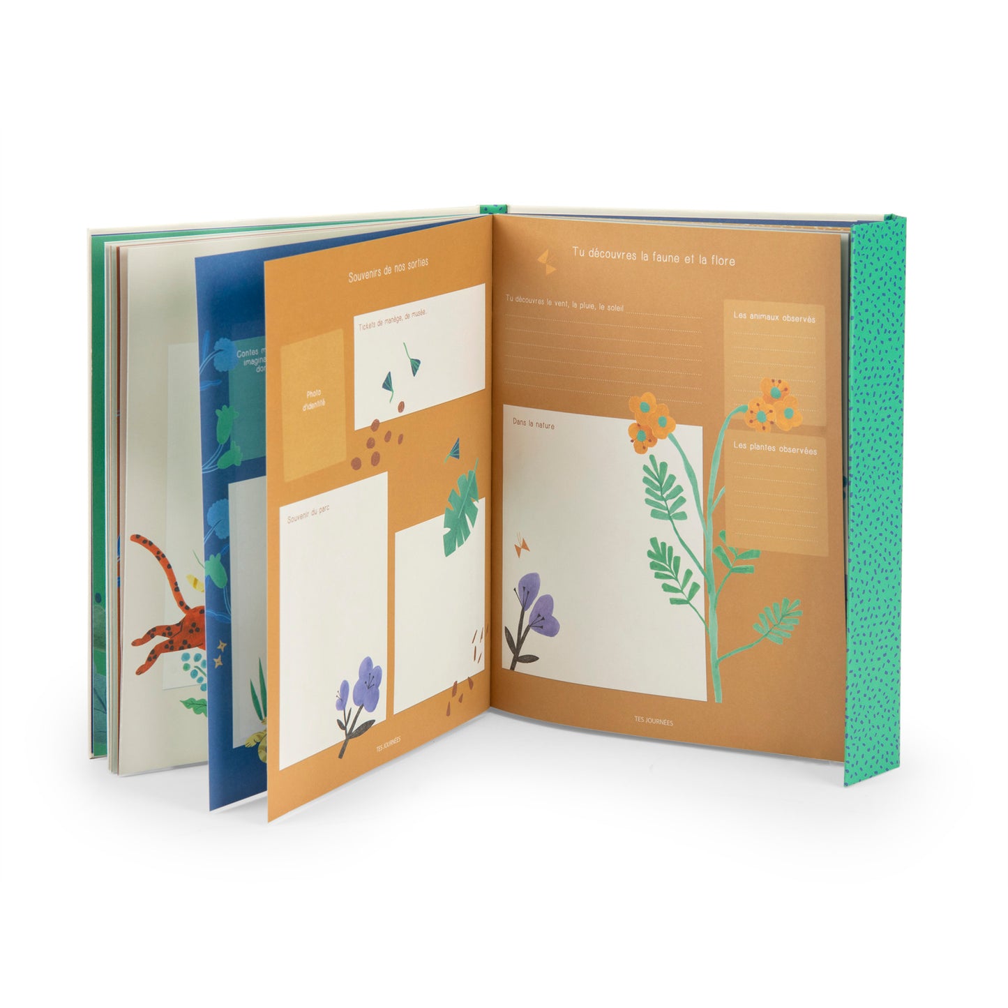Livre de naissance - mawa