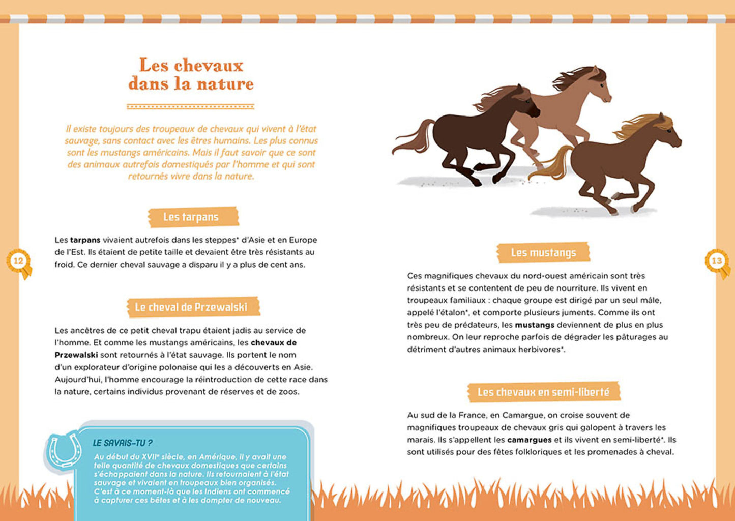 Coffret À la découverte de ... - Auzou