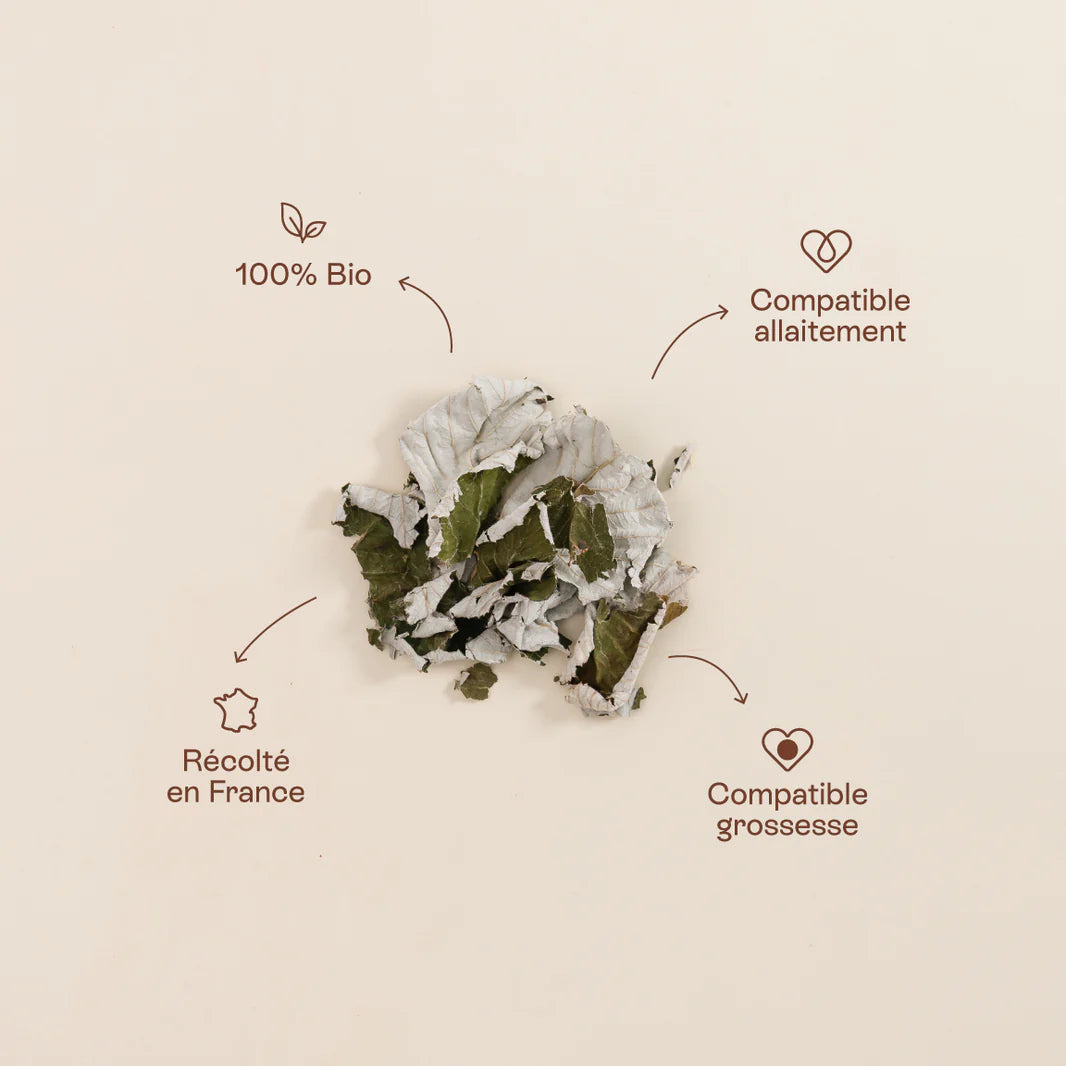 Infusion framboisier - Jolly Mama