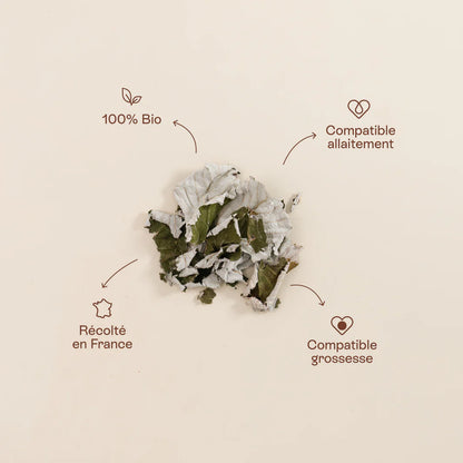 Infusion framboisier - Jolly Mama