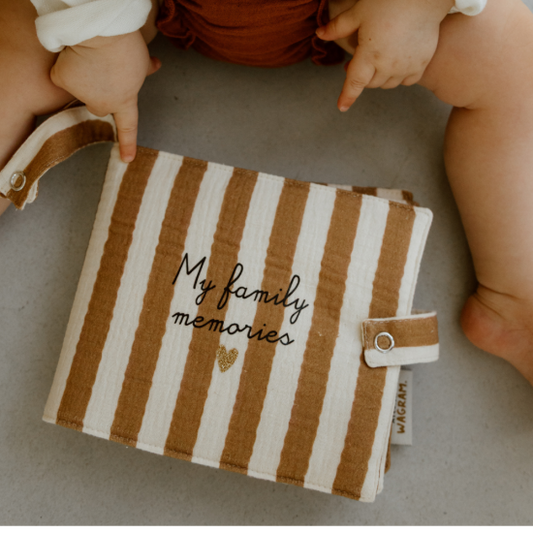 Mini album tissu - rayures larges