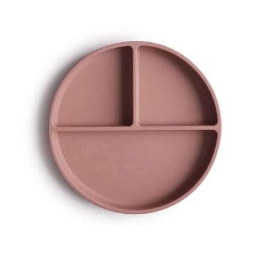 Assiette silicone - terracotta