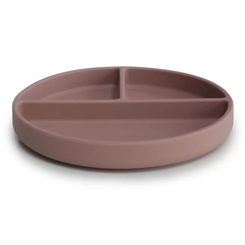 Assiette silicone - terracotta